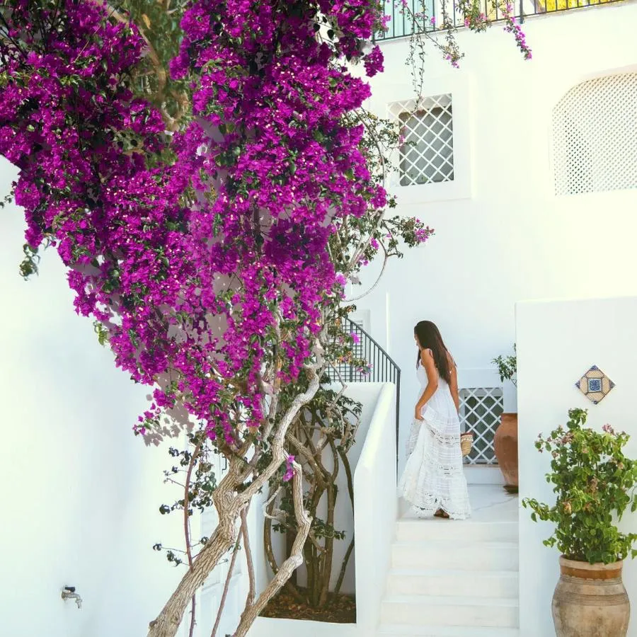 Hotel Le Calette